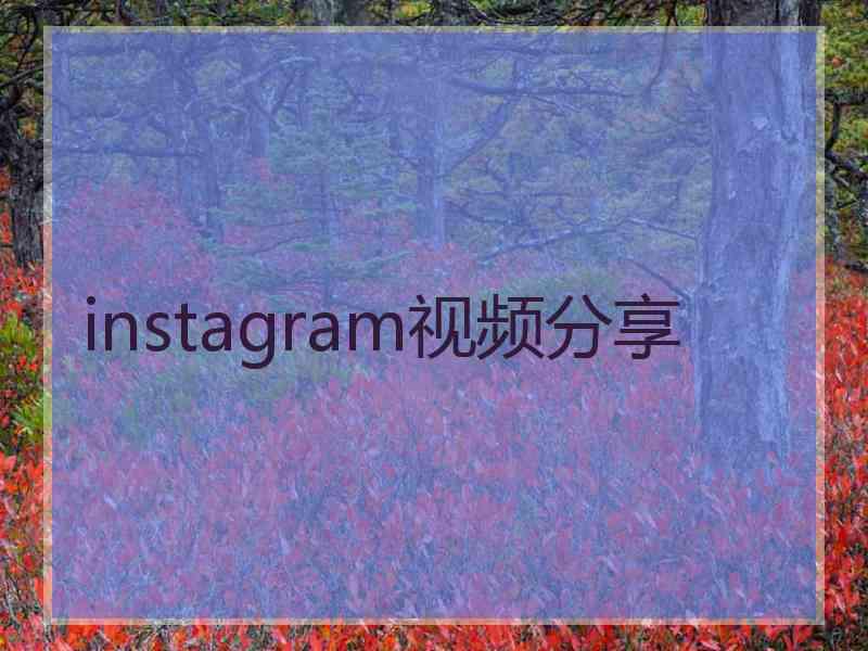 instagram视频分享